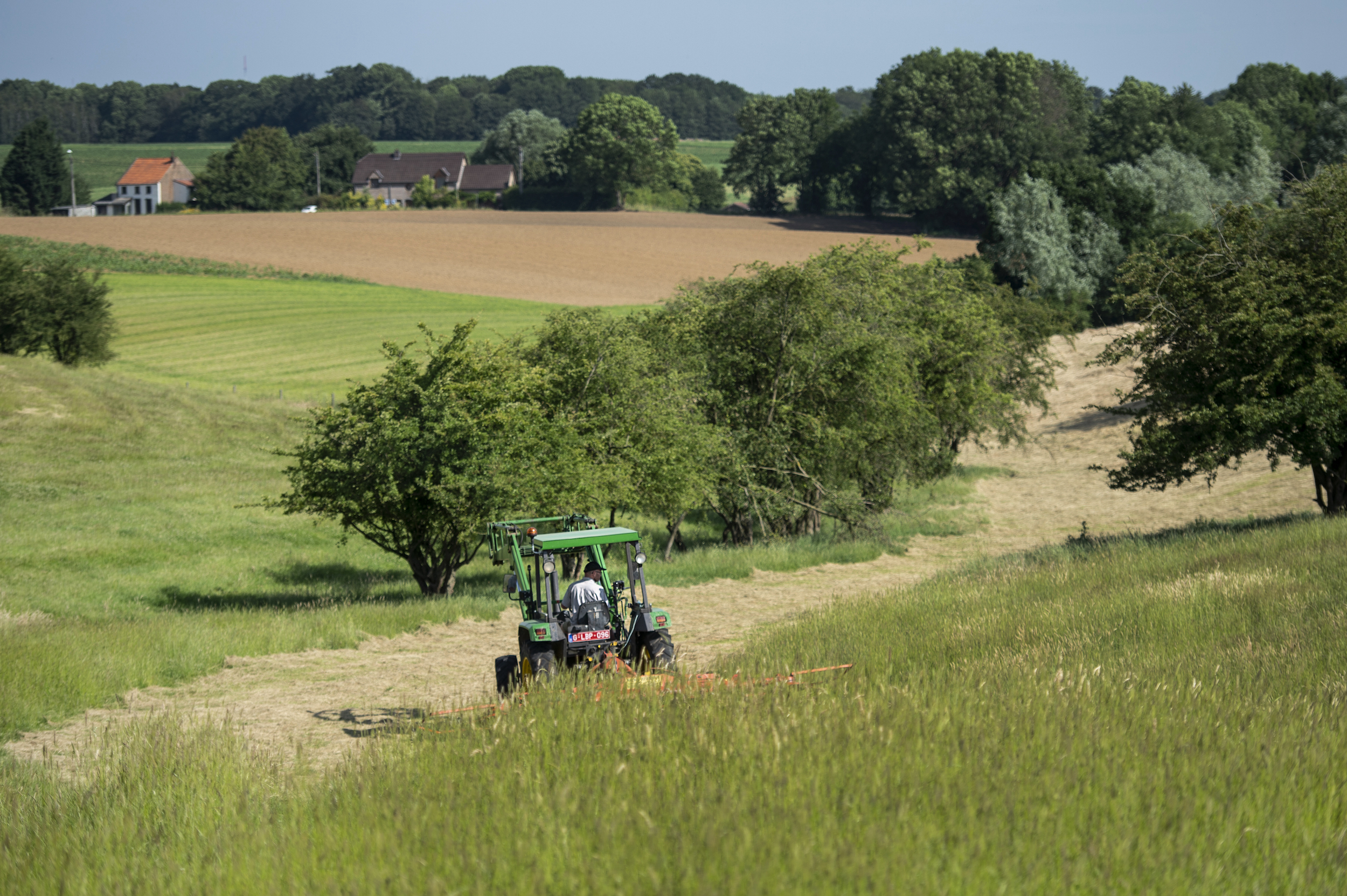 agricultures