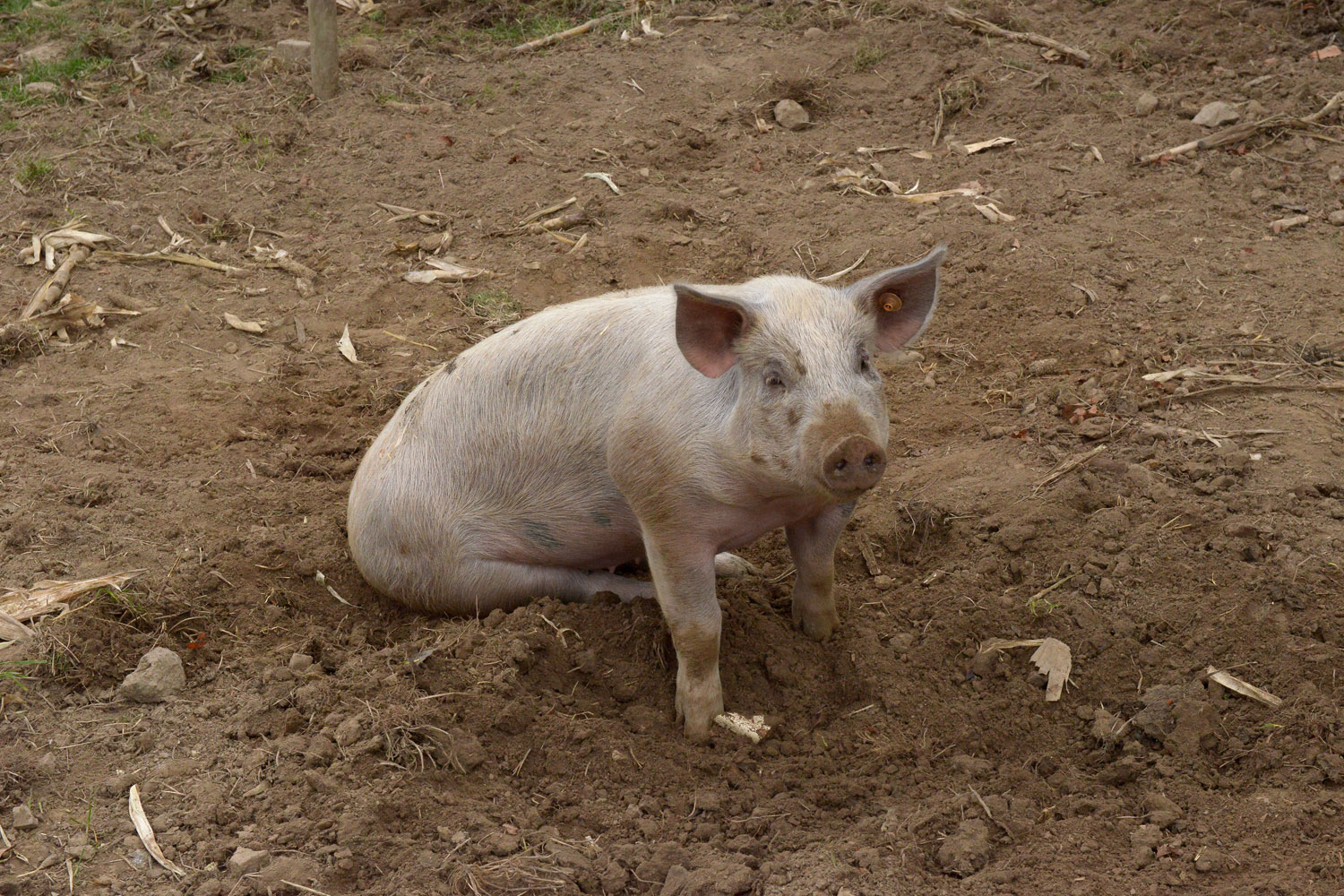 Prix de l'environnement 2018