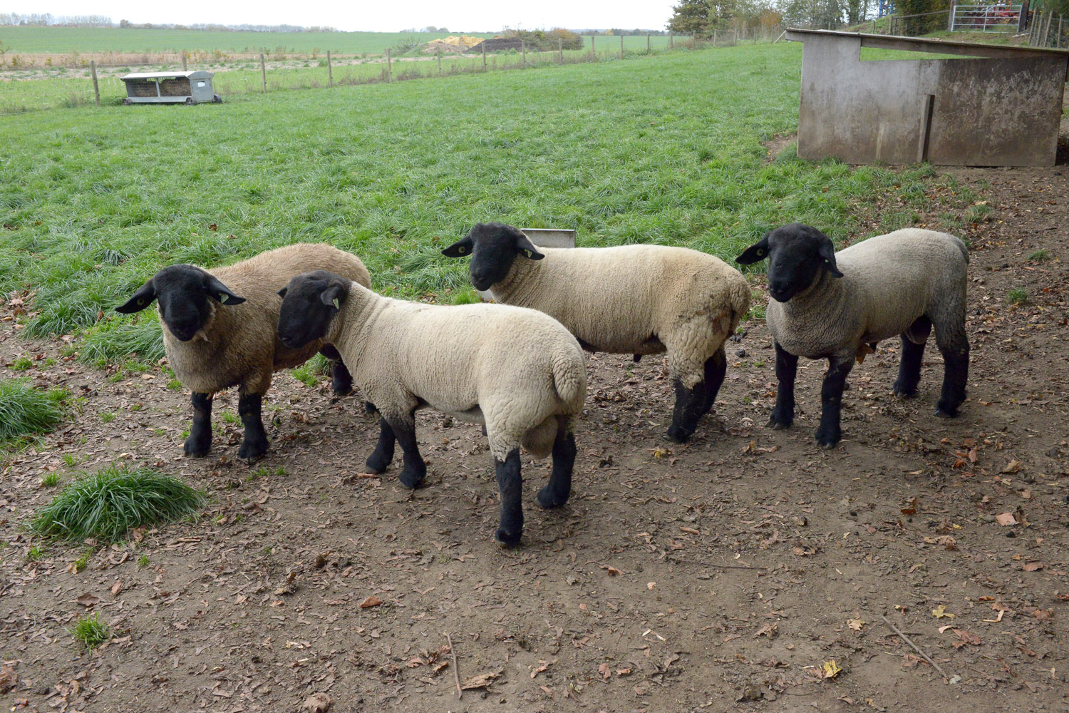 Prix de l'environnement 2018