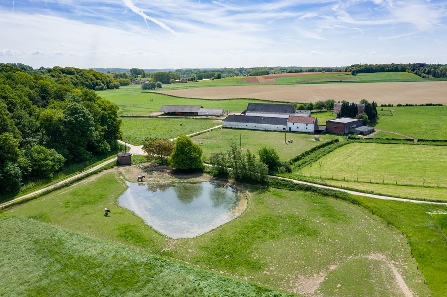Prix de l'environnement 2019