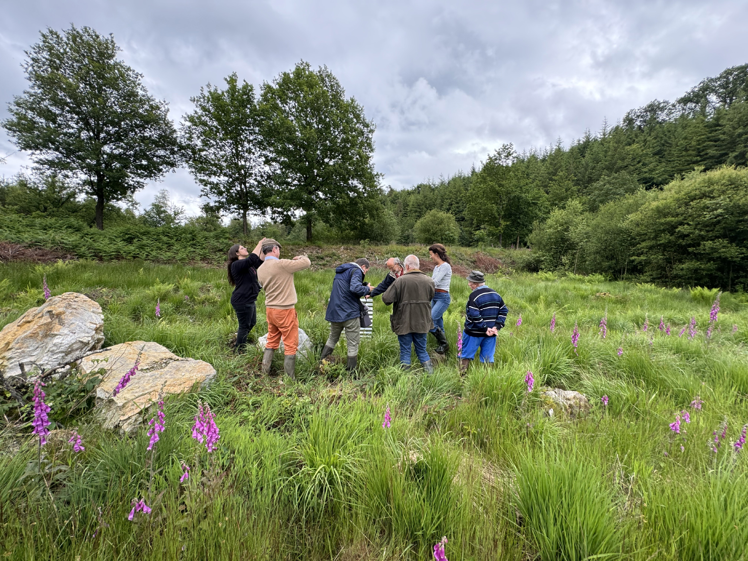 Prix de l'environnement