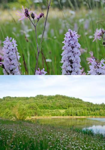 asbl Patrimoine Nature