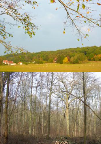 Université de Namur