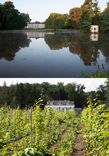 Ghislain & Gabrielle de Liedekerke