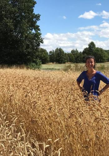 Clotilde de Montpellier